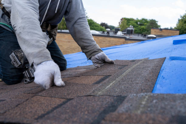 Best Roofing Contractor Near Me  in St Stephens, NC